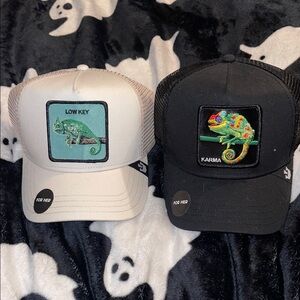Goorin bro animal farm hats